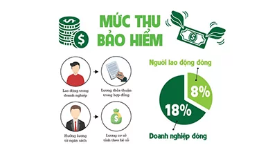 Mức lương làm căn cứ đóng BHXH, BHYT.