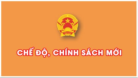 chinhsachthumoi