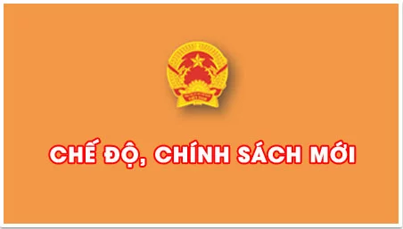 chinhsachthumoi