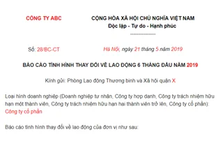 Mau Bao Cao Tinh Hinh Su Dung Lao Dong 2019 1