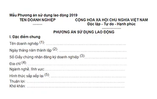 Mau Phuong An Su Dung Lao Dong Nam 20194