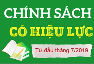 Chinh Sach Co Hieu Luc Thang 7 2019