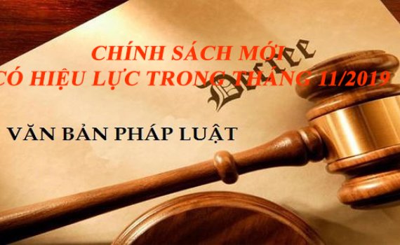 Chinh Sach Moi Co Hieu Luc Tu Thang 11 2019