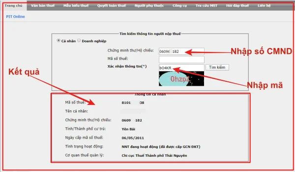 Quên mã số thuế cá nhân, tra cứu như thế nào?