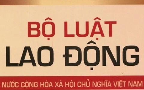 luat lao dong 2019