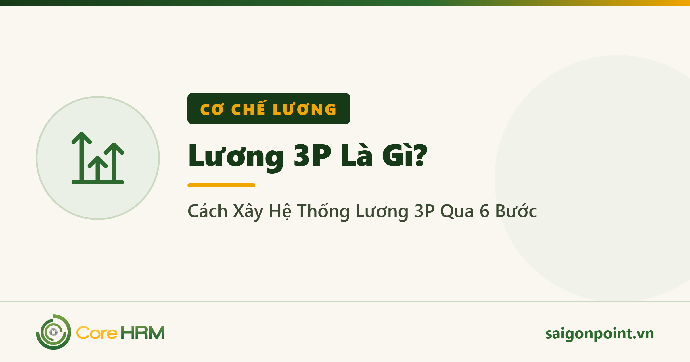 Lương 3P Là Gì? Cách Xây Hệ Thống Lương 3P Qua 6 Bước
