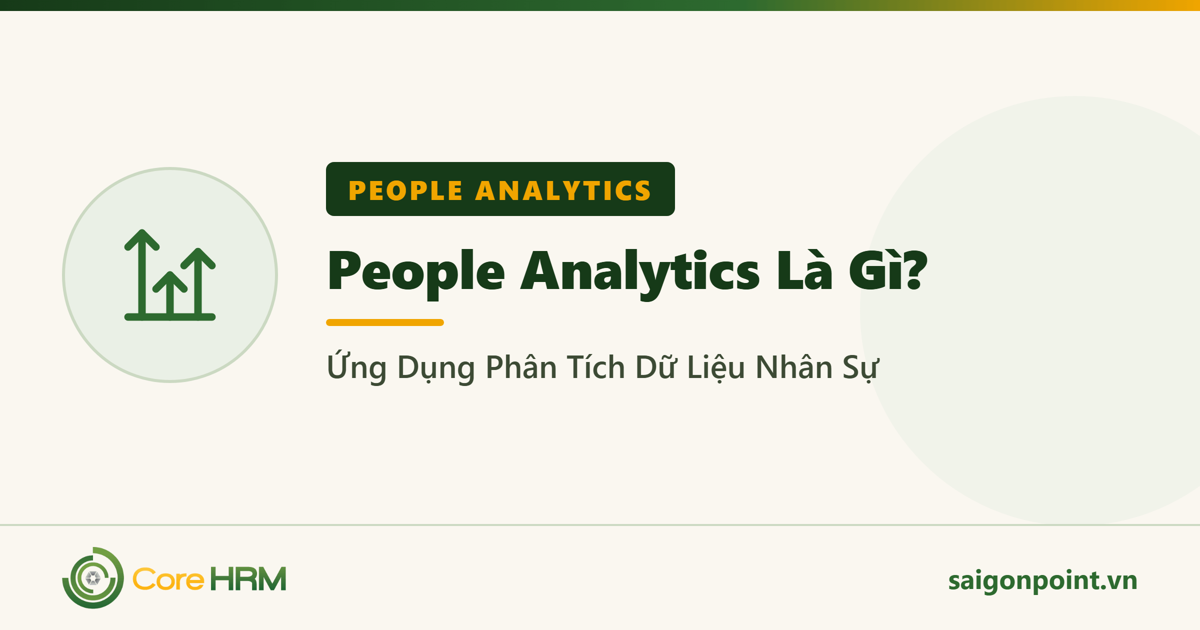People Analytics Là Gì? Ứng Dụng Phân Tích Dữ Liệu Nhân Sự