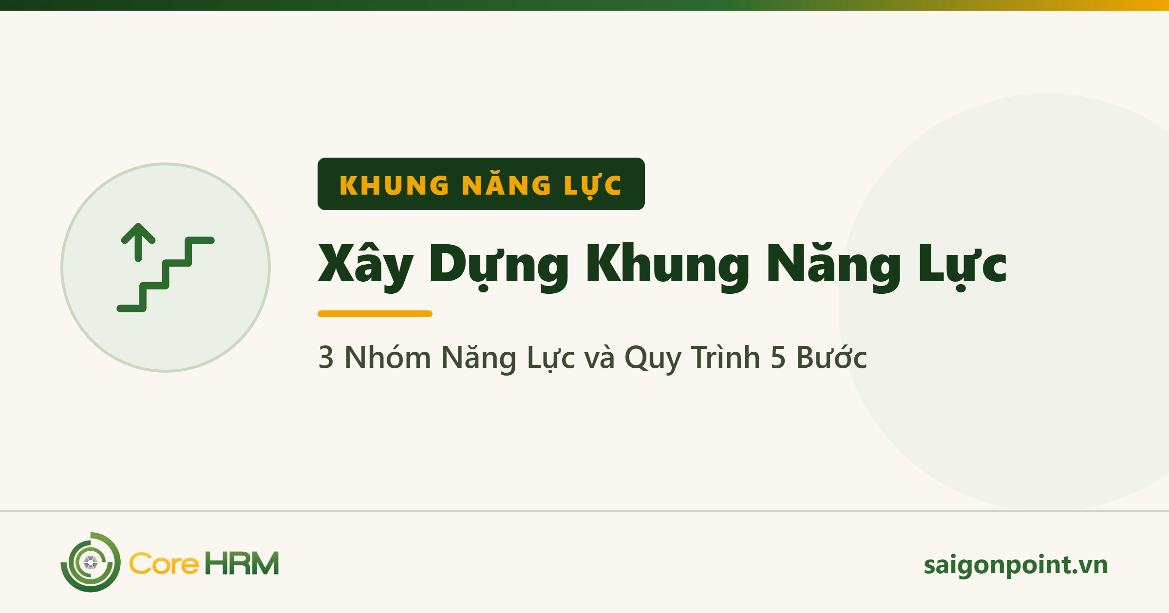 Xây Dựng Khung Năng Lực: 3 Nhóm Năng Lực và Quy Trình 5 Bước