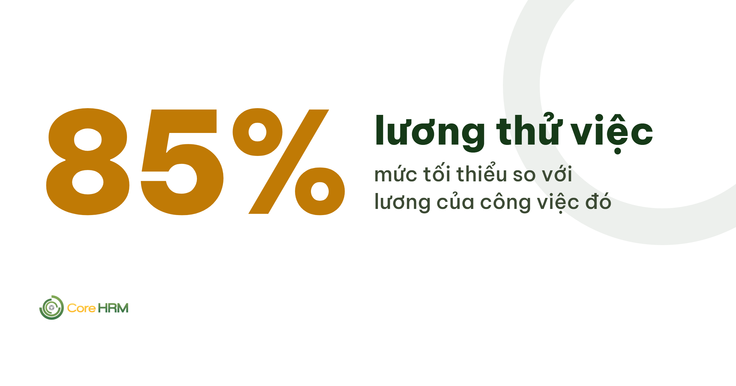 Quy Định Thử Việc 2026: Thời Gian Tối Đa, Lương 85% và Nguyên Tắc